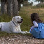 Wenn dein Hund Magen-Darm-Probleme hat, ist es Zeit für eine Veränderung. Mit Reico unterstützt du seine Verdauung für mehr Wohlbefinden.