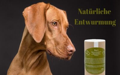 Die natürlichen Inhaltsstoffe in Reico Naturkraft Pro 1 sind nicht nur effektiv bei der Entwurmung, sondern auch schonend für den Organismus deines Hundes.