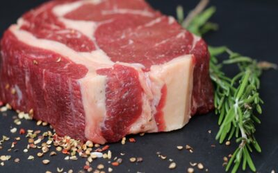 Eine artgerechte Ernährung sollte daher einen bedeutenden Anteil an Fleisch haben