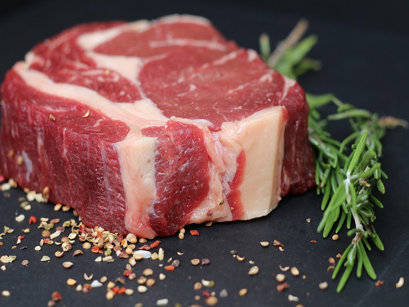 Eine artgerechte Ernährung sollte daher einen bedeutenden Anteil an Fleisch haben