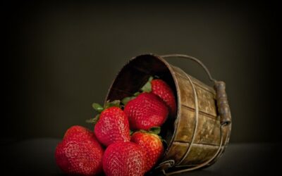 Obwohl Erdbeeren für Hunde im Allgemeinen unbedenklich sind, gibt es Situationen, in denen es besser ist, darauf zu verzichten: