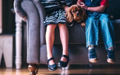Achte darauf, die Bedürfnisse deines Hundes zu erfüllen, halte dich an die Vereinbarungen im Mietvertrag