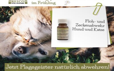 Effektive Floh- und Zeckenabwehr für Deinen Hund: Produkte und Vorteile von Reico