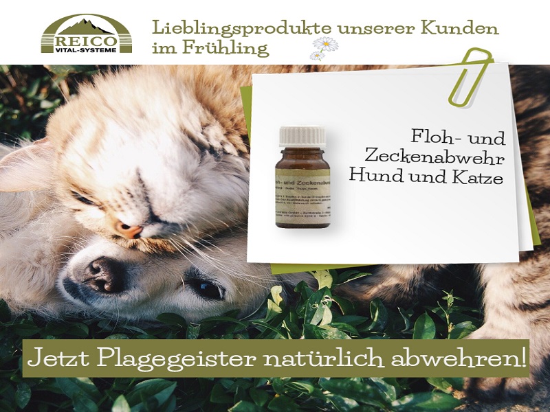 Floh und Zeckenabwehr