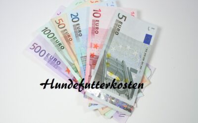 In diesem Artikel gehen wir auf die Preise von Reico Hundefutter ein und zeigen dir, warum es sich lohnen kann, in Qualität zu investieren.