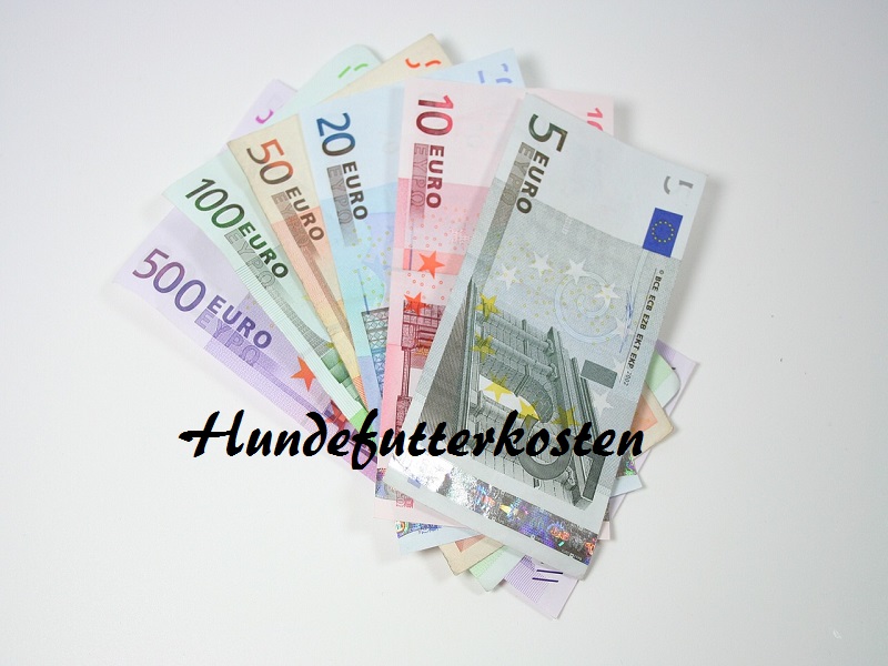 In diesem Artikel gehen wir auf die Preise von Reico Hundefutter ein und zeigen dir, warum es sich lohnen kann, in Qualität zu investieren.