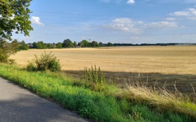 Kostenfreies Festessen für deinen Vierbeiner in Jüchen: Eine Gelegenheit für natürliche Ernährung