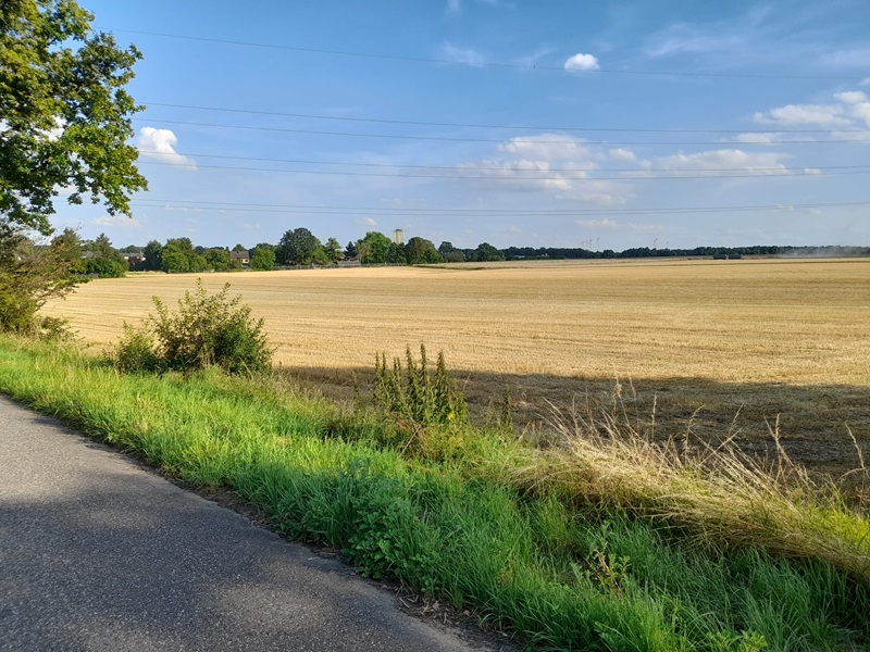 Kostenfreies Festessen für deinen Vierbeiner in Jüchen: Eine Gelegenheit für natürliche Ernährung