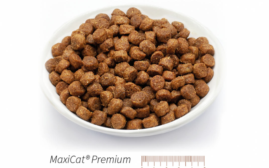 MaxiCat Premium